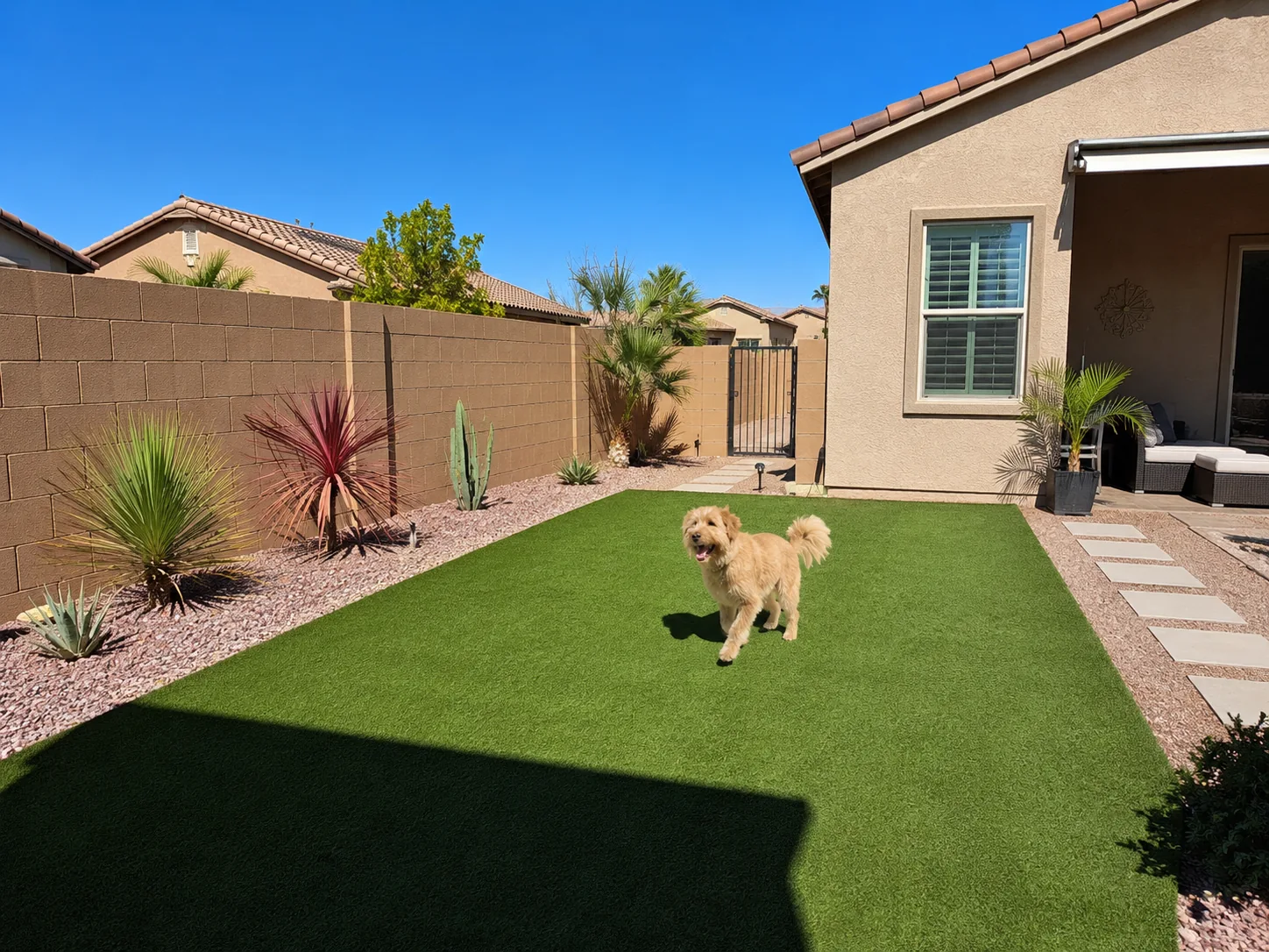 Pet turf dog run Scottsdale AZ