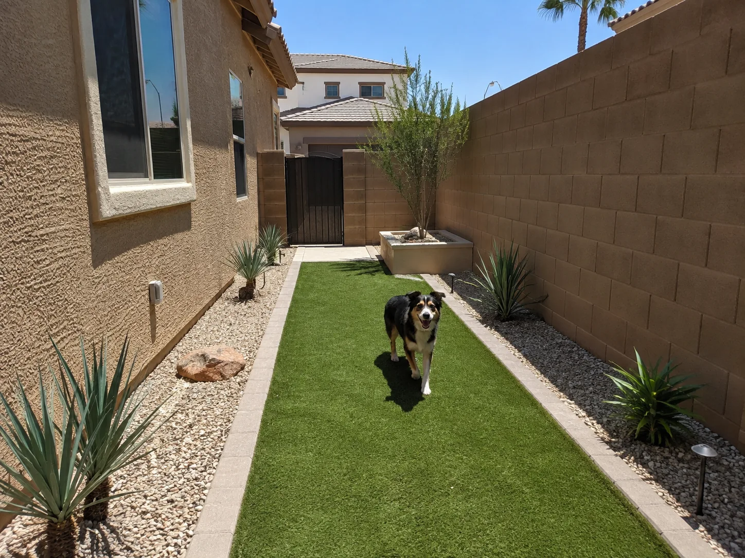 Pet turf dog run Scottsdale AZ